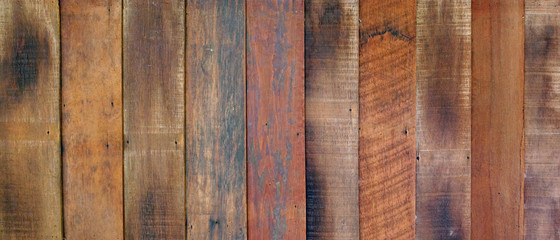 close up of wooden texture for background                   