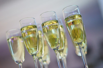 row of transparent glasses with champagne on a rack in a bar or restaurant prepared for guests of festive events.
