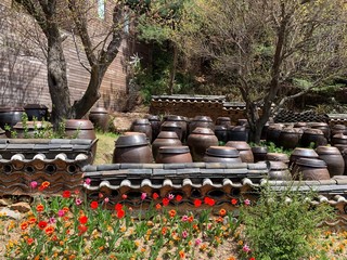 Obraz premium pottery in the garden