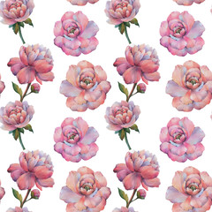 Seamless watercolor flowers pattern. Watercolor peony flowers. Flowers for design. Isolated flowers on white background. Seamless floral pattern. Purple peony floral botanical flower.