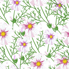 Obraz na płótnie Canvas Floral pattern chammomile. Florals vector surface design.