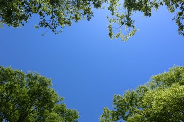 空と緑のハート形フレーム