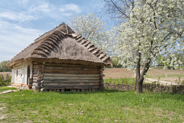 Old peasant house  in the Museum of folk architecture and life in Pirogovo, Kiev, Ukraine 
