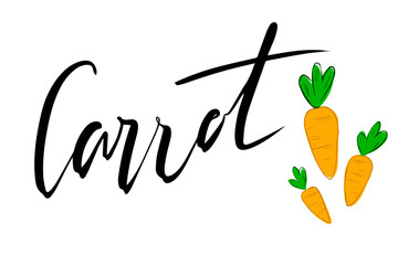Obraz premium Lettering carrot with vector illustration of carrot. Logo, stamp. Healthy, fresh, organic, eco food. Vegetables, harvest. Vector hand drawn illustration. 