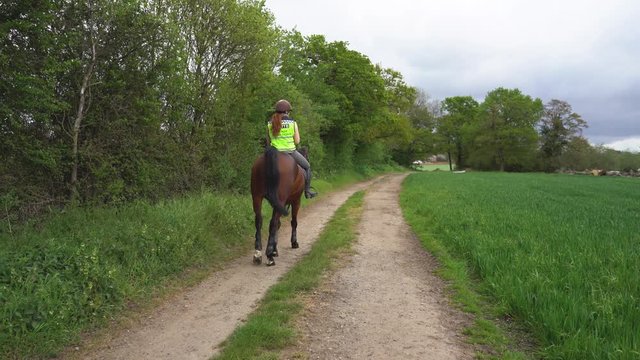 Brown horse and rider riding down a country lane next to a field