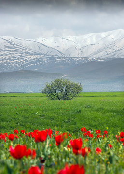 green hill landscape with clouds background, eastern Anatolia, Bingol