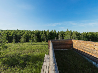wooden blockhouse, forest, field, sky, summer, sunny