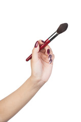 Female hand with make-up artist brush
