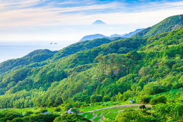 Obraz premium 初夏の富士山、静岡県松崎町石部にて