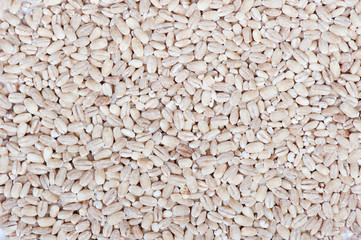 Heap of pearl barley grains