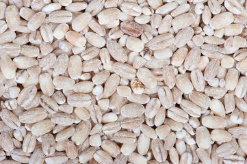 Heap of pearl barley grains