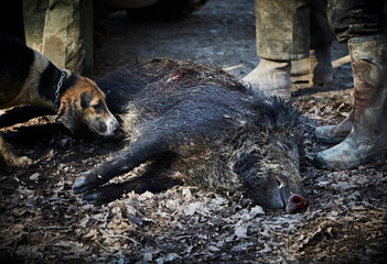 A LA CHASSE