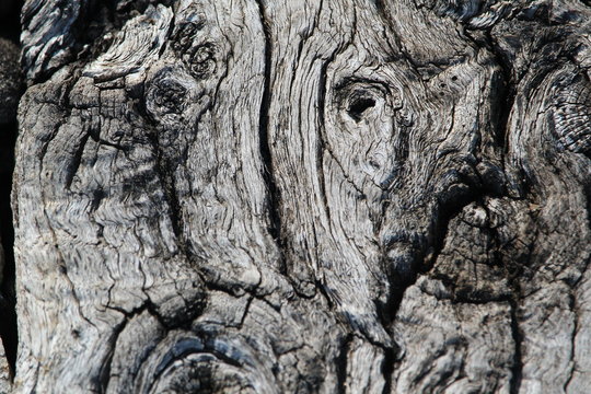 Visage myst&eacute;rieux marqu&eacute; dans du bois
