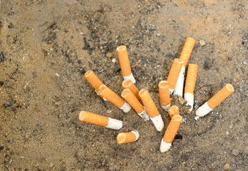 the selected focus of cigarette butts