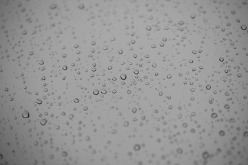 Rain. Drops. B&W. Window. Glass