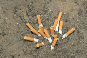 the selected focus of cigarette butts