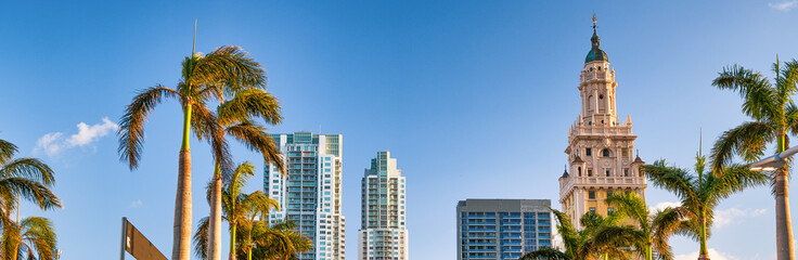 Palms and buildings of Downtown Miami