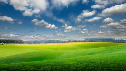 Obraz premium green field and blue sky