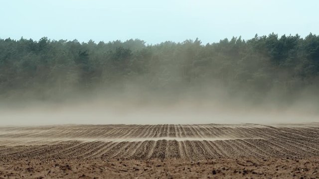 Dust clouds created by strong wind whirls causing top soil erosion and land degradation in northern Germany.