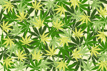 leafs of cannabis background,abstract background