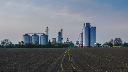 Fototapeta na wymiar New shinny silos on the farm field at sunrise