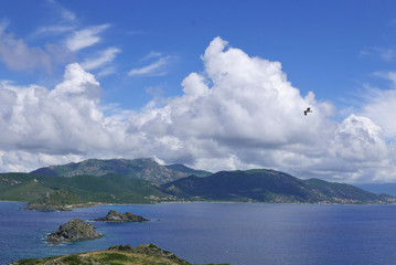corse