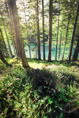 Fantastic azure alpine lake grüner see in austria during spring