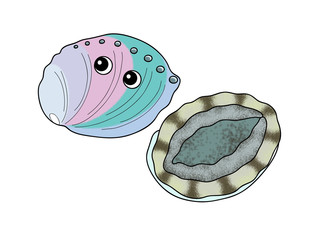 鮑 イラスト