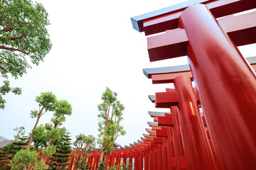Outdoor Beautiful Scenery Red Gate Temple Walk Path in the Morning