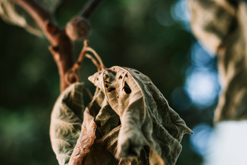 Unique and Nature Sight