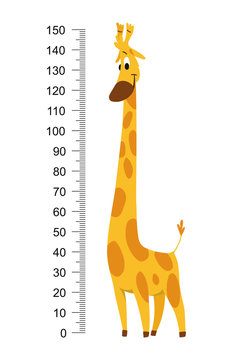 Giraffe meter wall or height chart vector illustration.