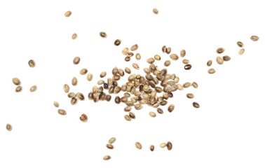 Hemp seeds isolated on white background, top view