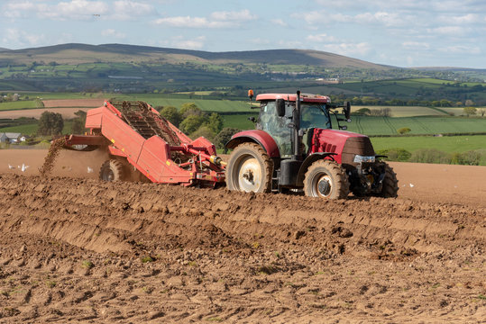 Modbury, South Devon, England, UK. May 2019. Destoner machine behind a tractor preparing a field for planting potatoes near Modbury, Devon, The background high ground is Dartmoor National Park.