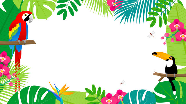 Summer Tropical Background Vector illustration. Toco toucan and Scarlet Macaw on tropical leaves frame.