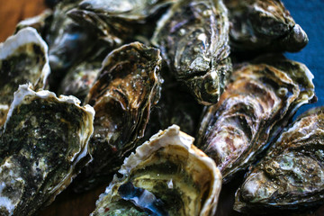 Fresh closed oysters on black background top view