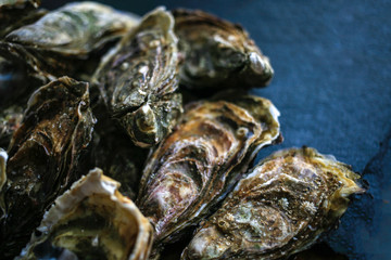 Fresh closed oysters on black background top view