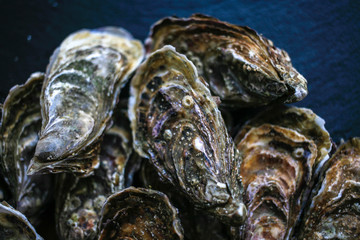 Fresh closed oysters on black background top view