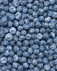 Fototapeta na wymiar Background of fresh ripe blueberries. Close-up.