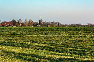 Fresh mowed meadow with windmill on horizon in sunny countryside.