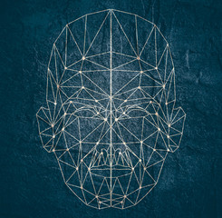 Human face low polygon. Wireframe mash head shape consisting of connected dots and lines. Abstract human illustration
