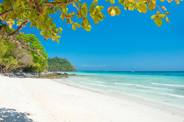 Beautiful beach at tropical island