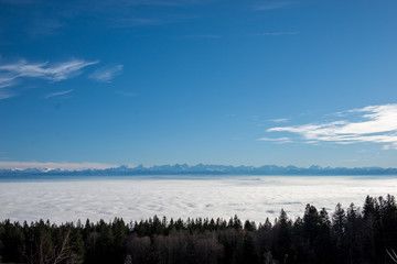 sea of fog with forest and alps over swiss Mittelland seen from Grenchenberg
