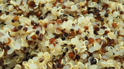 Quinoa is popular health food. High fiber and protein,vitamins,Gluten-Free and Very High in Antioxidants.
