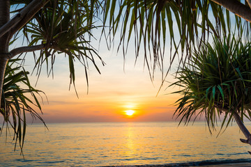 Sunset at tropical beach with palms