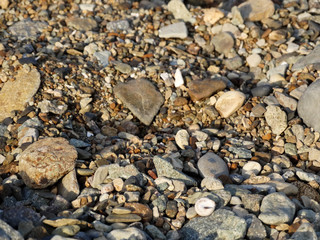 texture of sea stone on the shore
