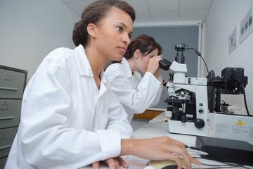 confident young scientist studying in the lab