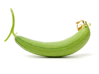 fresh loofah on the white background 