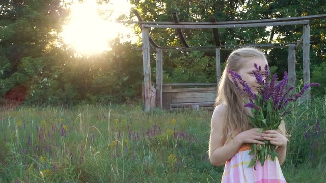 Girl collects flowers of salvia at the sunset time