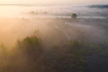 Scenic summer foggy nature from above. Aerial view on river shore with trees in sunshine