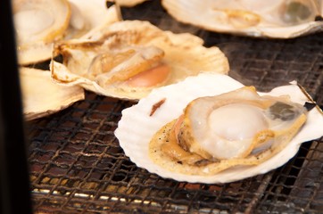 札幌のホタテ